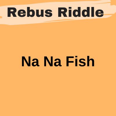 Na Na Fish | Nafish Nafish | Rebus Riddle with Answer
