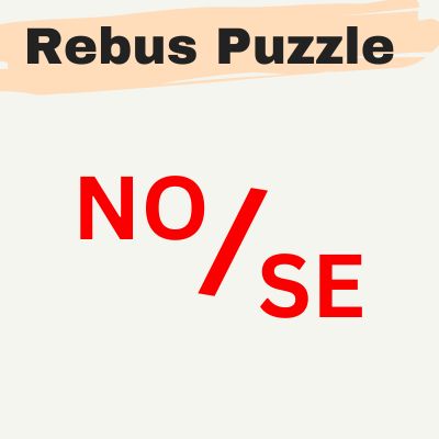 NO/SE : Rebus Puzzle Answer